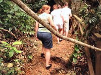 Foto 196